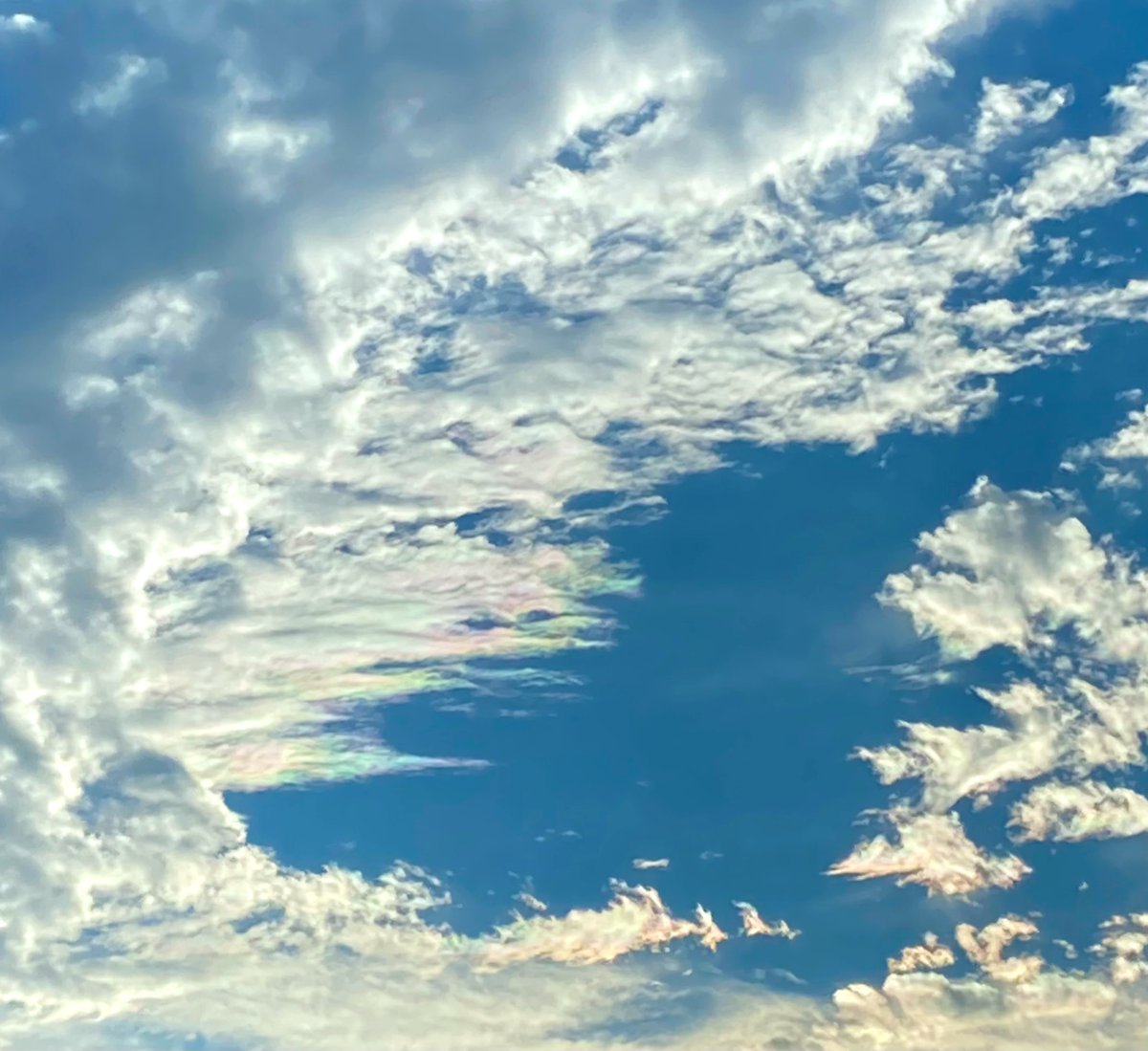 今日の空
薄ら虹色の雲でした🌈