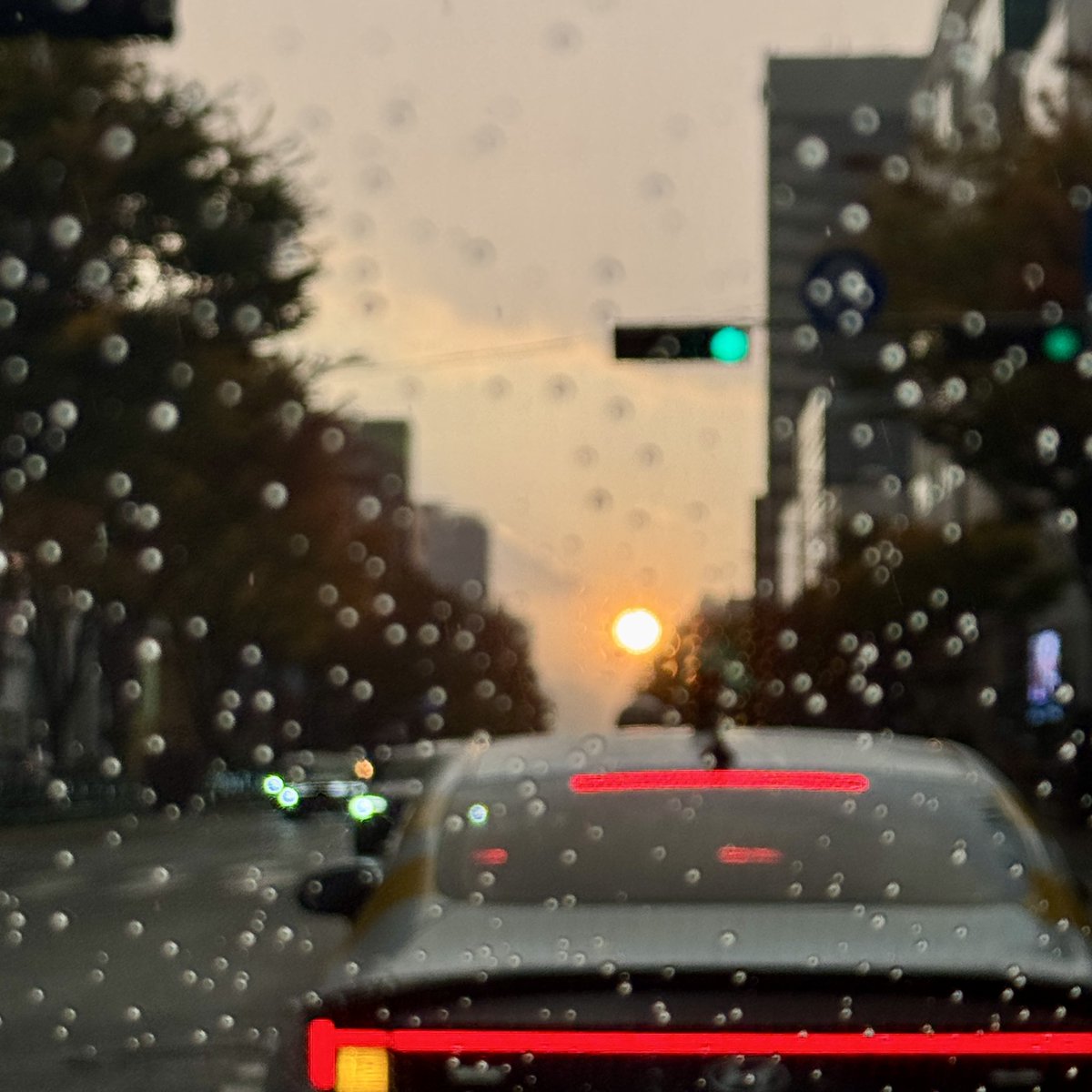 Sangwoo2024's tweet photo. It is Saturday evening with rain.
Did you enjoy your weekend? I hope all of you had a good day.
#November #FirstDayOfNovember #WeekendVibes https://t.co/rkJE0r5Abf