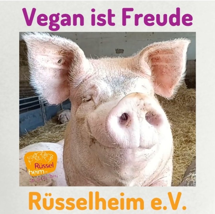 Heute ist Weltvegantag! Für uns ein Grund zur Freude, denn immer mehr Menschen entscheiden sich gegen die Ausbeutung der Unschuldigen! Danke an jeden von euch! 🧡
Vegan ist Freude! Und die wollen wir mit euch mit unserem Rabatt von 20% teilen! 😊❤️😊
…heim-ev-merchandising.myspreadshop.de