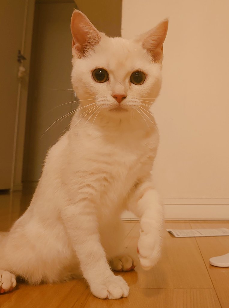 家族が増えました😊