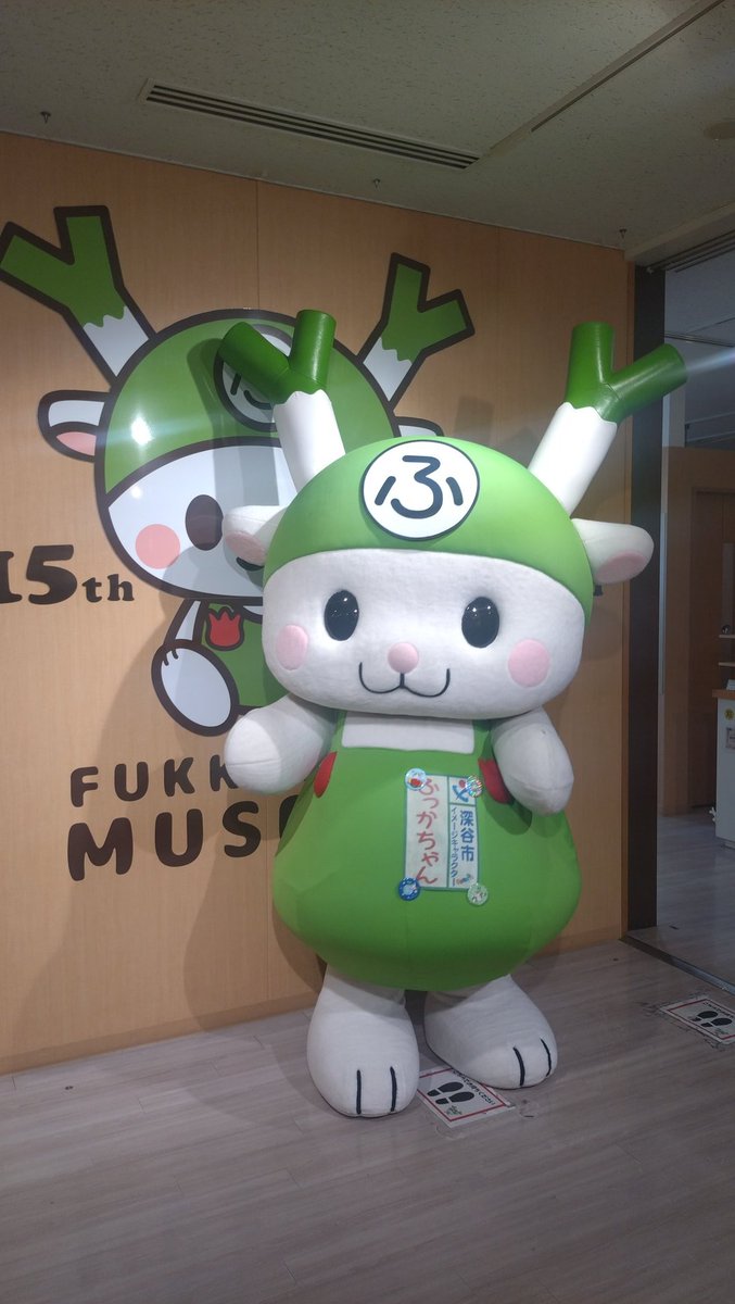 モフィー　マリオネット スーパーマリオ Mocchi－Mocchi－GameStyle マリオの帽子