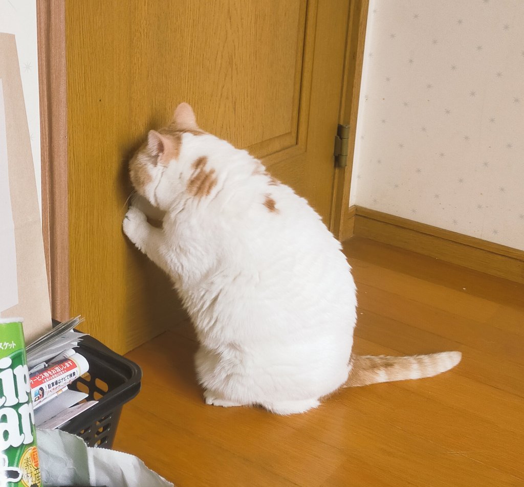 開けてほしい。