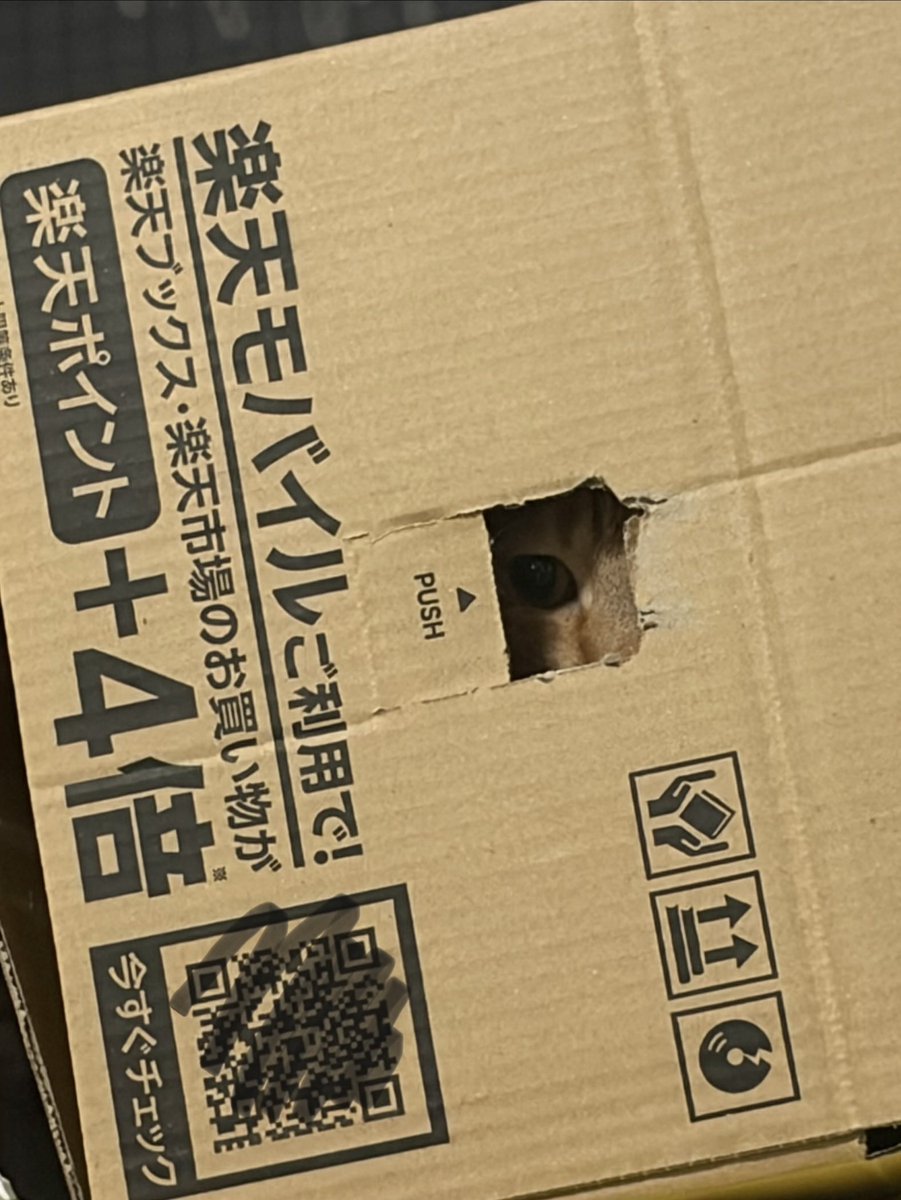 お分かりいただけただろうか