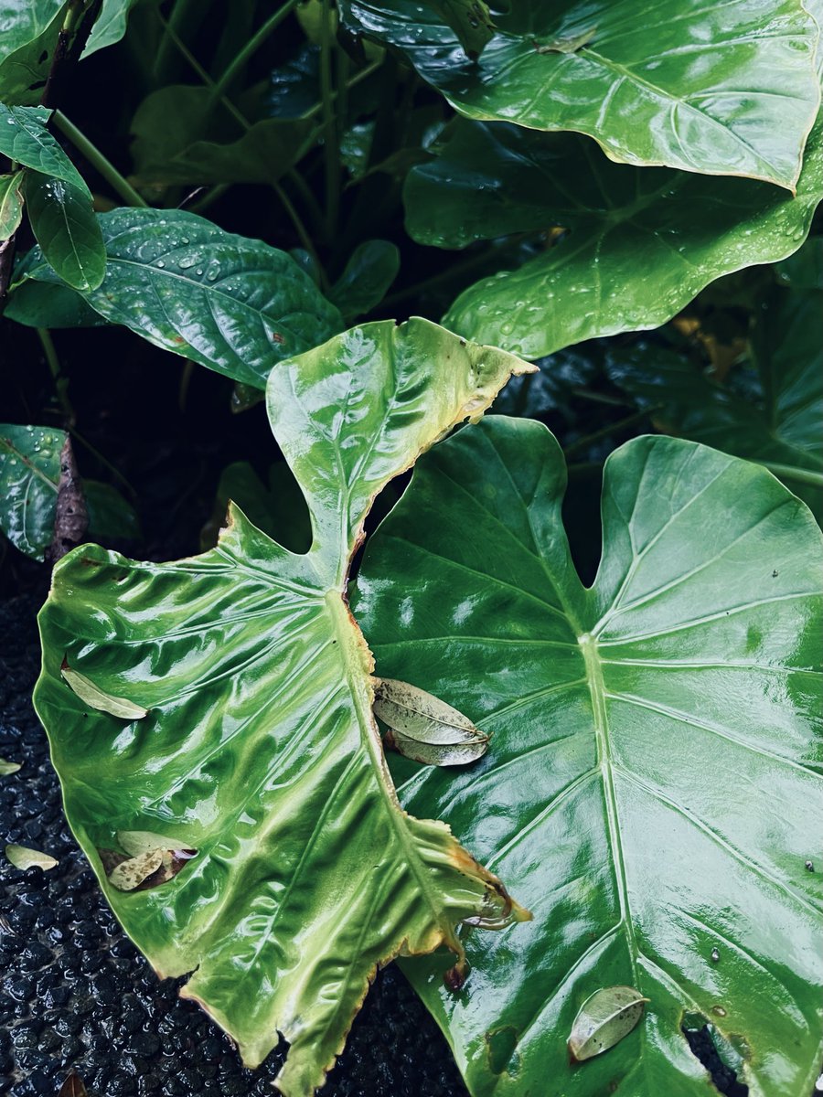 afeqcbhe (@after4pafeqcbhe) on Twitter photo 