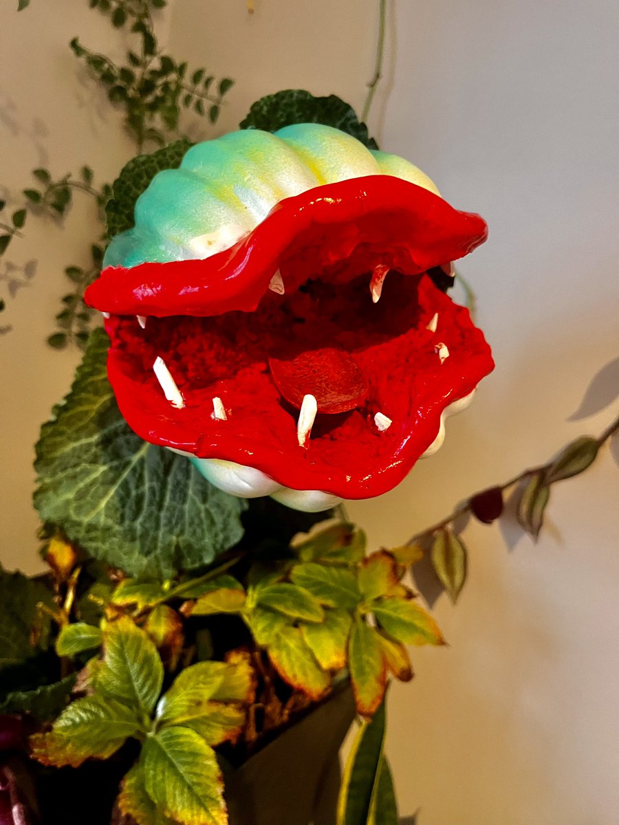 Kayte Mitchell tweet media