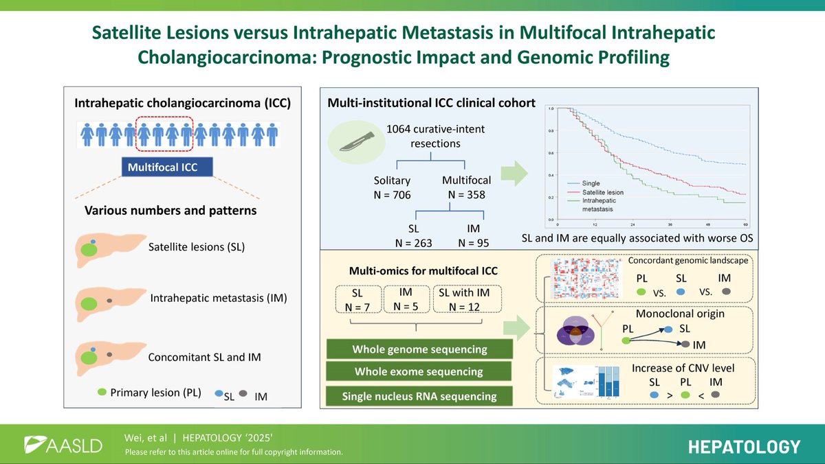 ❓Is multifocal intrahepatic cholangiocarcinoma really stage-II? 
<a href="/HEP_Journal/">HEPATOLOGY Journal</a> 

➡️Within stage II, multifocal ➡️ 🔻OS than solitary
🚨Similar prognosis with satellite lesions and intrahepatic metastasis
🚨Multifocal stage II ➡️ similar prognosis with stage III