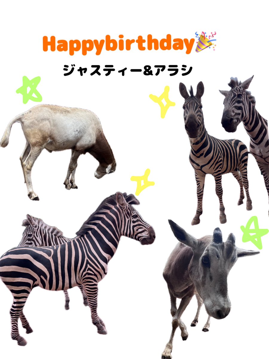 長野市茶臼山動物園【公式】 on X