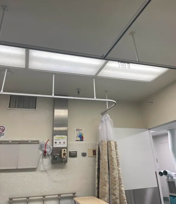 FireRose tweet media