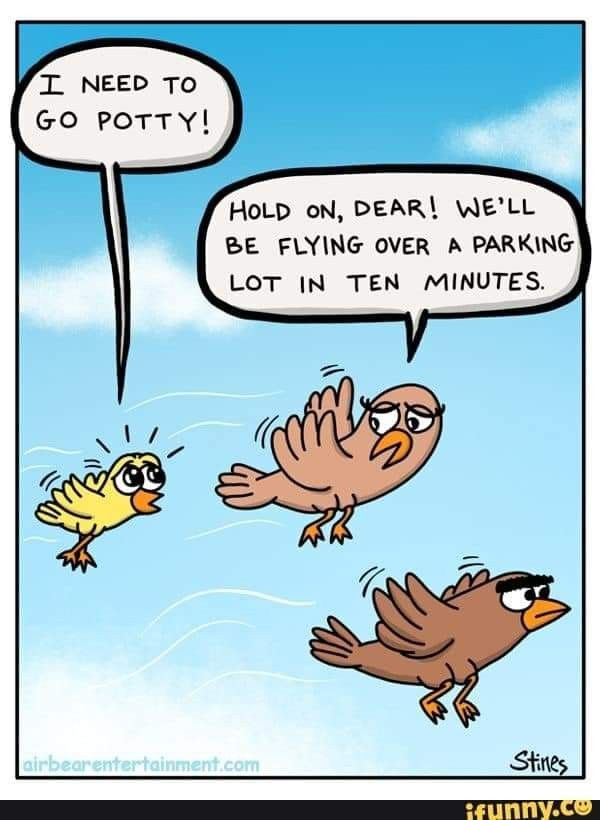 LeeIem28344's tweet image. Emergency 😂😂

#SaturdayVibes 
#saturdayfun 
#happyweekend 
#GoodMorningEveryone 
#love