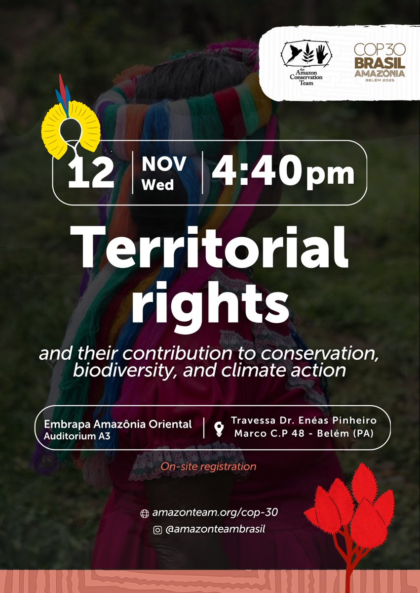 AmazonTeamOrg's tweet image. (English below / Español abajo 👇🏽) Estamos chegando para a COP30 e compartilhamos com vocês mais um de nossos eventos na conferência. No dia 12 de novembro, às 16h40, promoveremos o painel &quot;Direitos territoriais e sua contribuição para a conservação, a biodiversidade e a ação…