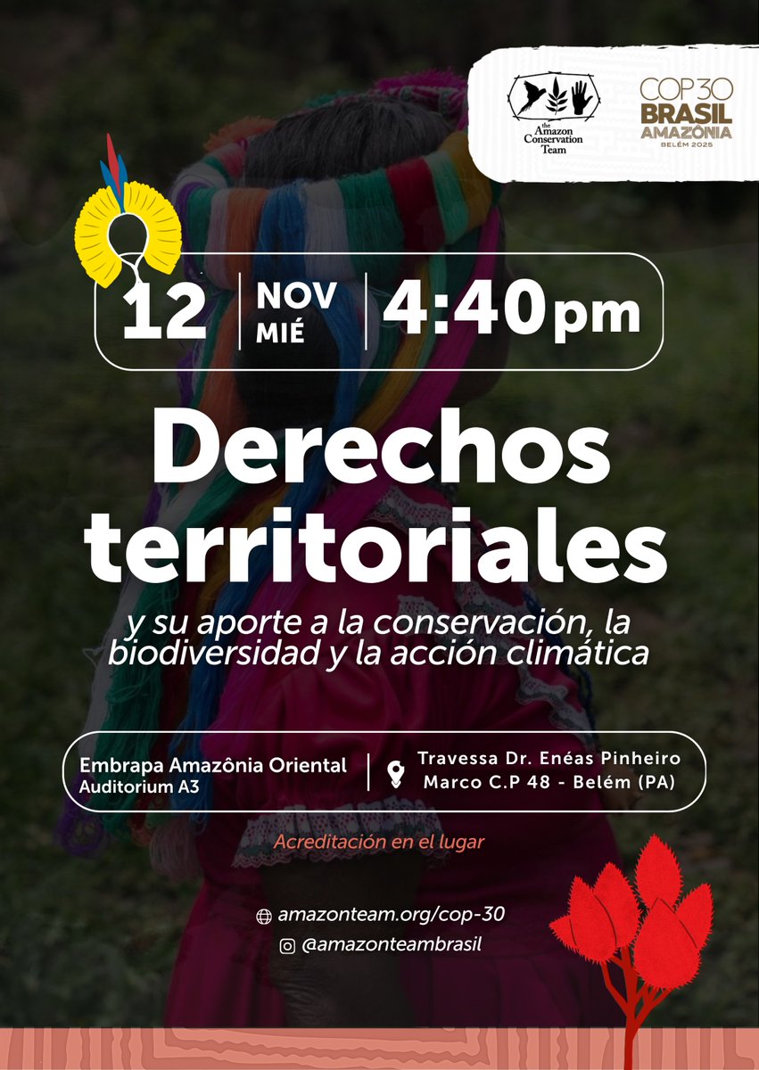 AmazonTeamOrg's tweet image. (English below / Español abajo 👇🏽) Estamos chegando para a COP30 e compartilhamos com vocês mais um de nossos eventos na conferência. No dia 12 de novembro, às 16h40, promoveremos o painel &quot;Direitos territoriais e sua contribuição para a conservação, a biodiversidade e a ação…