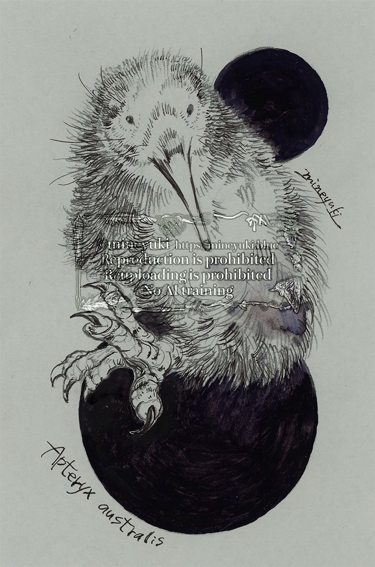 『キーウィ』
ご購入いただきました。有難うございます！