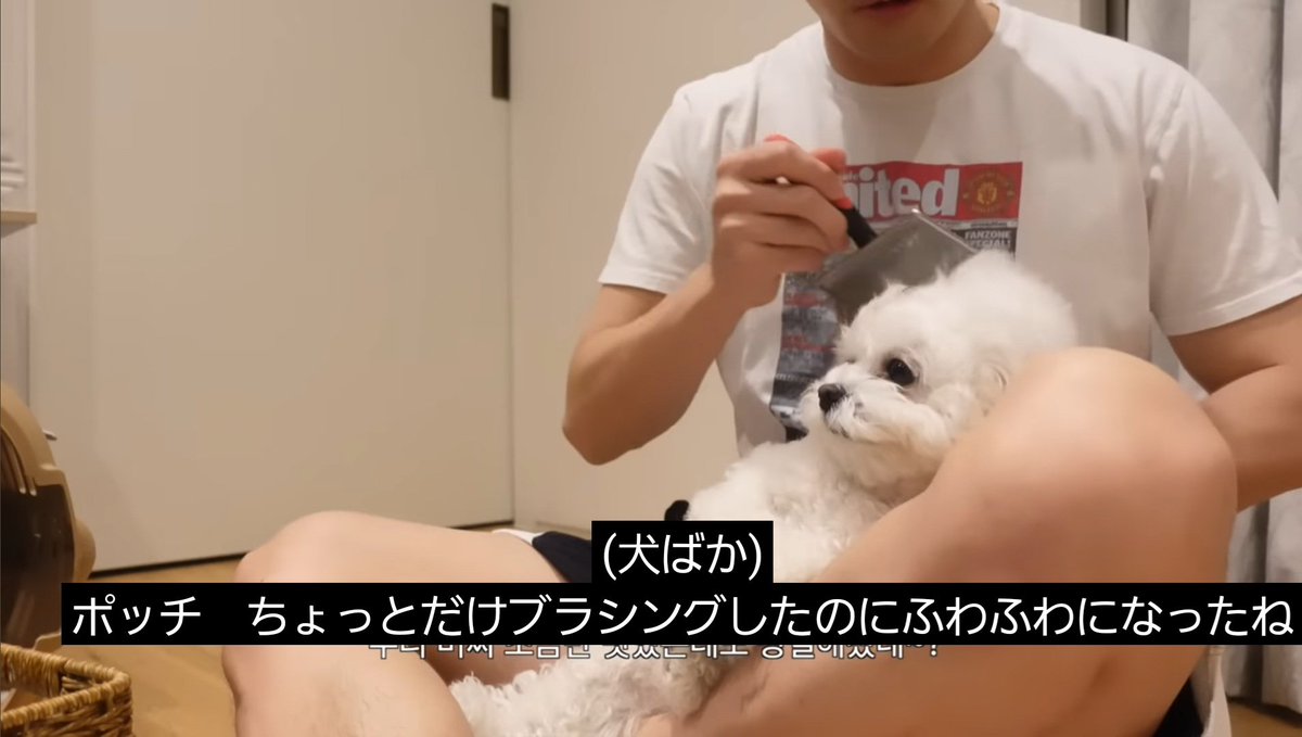 R0nn1ee's tweet photo. #犬の日 🍒🐶
초보 브이로거의 일상 모음.zip | MAX CHANGMIN Vlog
https://t.co/9BCkM57AJ7
#버찌 #buzzi
#최강창민 #CHANGMIN #沈昌珉
#チャンミン #MAXCHANGMIN https://t.co/hz23yXJT3k