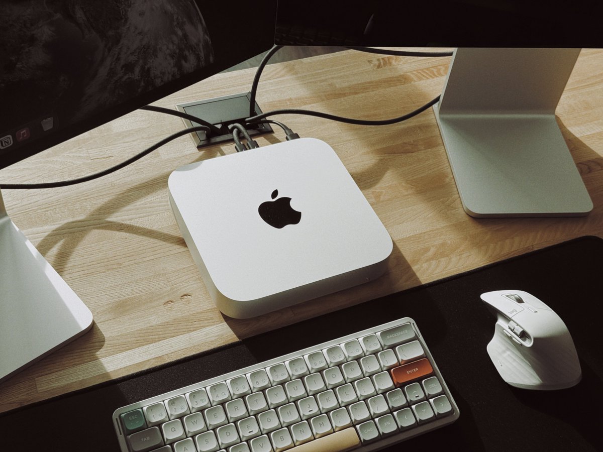 Darius Dan tweet media