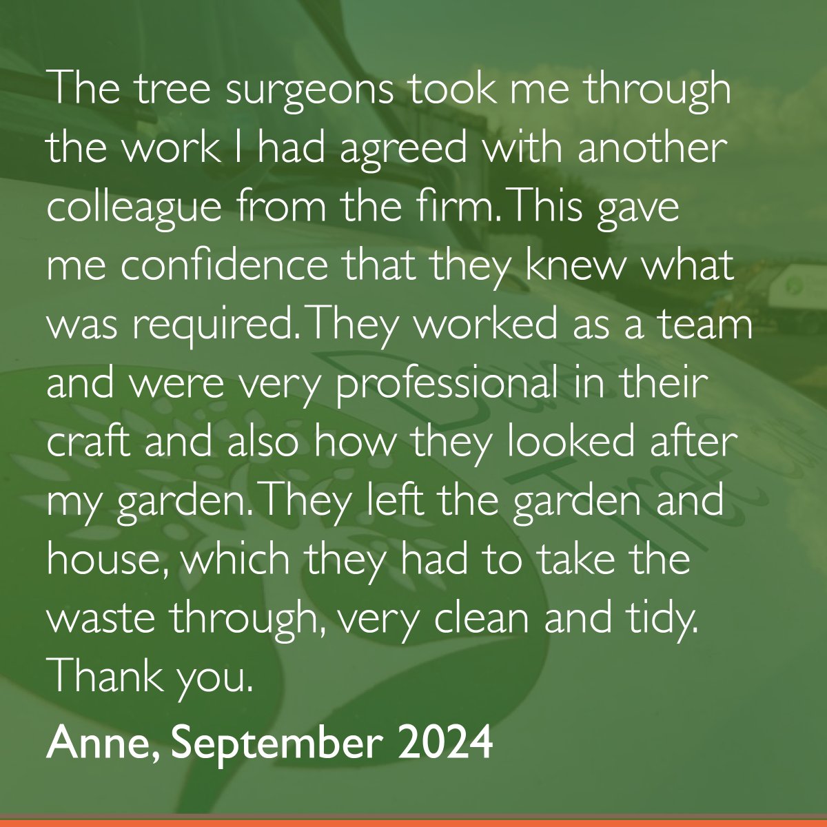 DFordTreeCare's tweet image. Our customer reviews on Trust Pilot are always glowing reviews of our work and professionalism. See what they have to say.

#DaveFordTreeCare #DFTC #TreeCare #Arborists