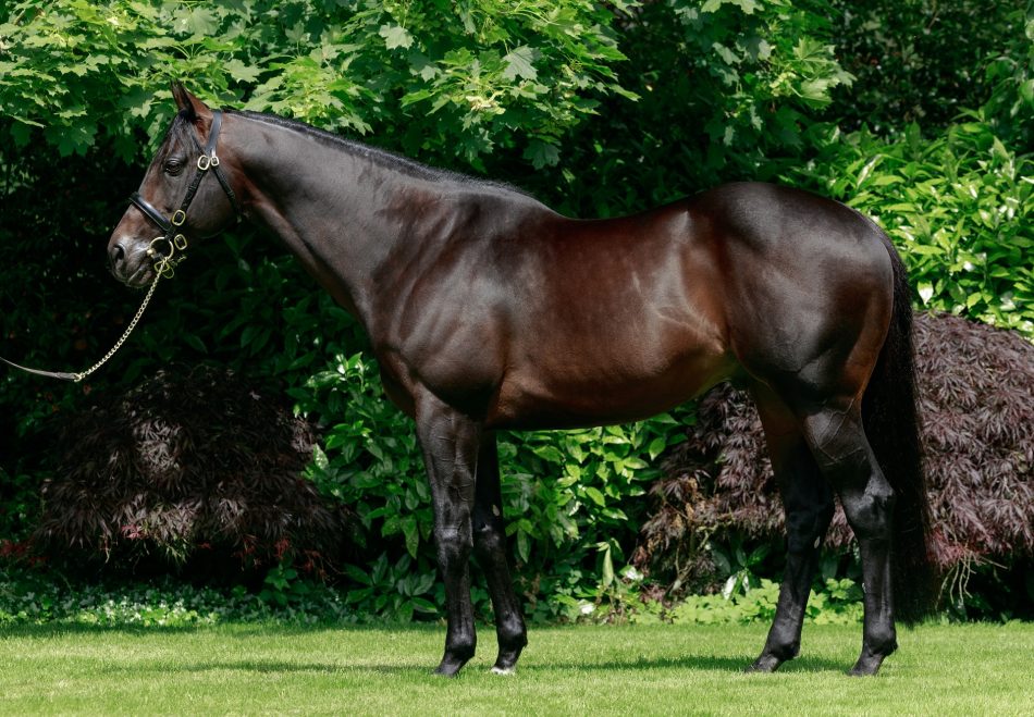 Ten Sovereigns filly Balantina won the G1 Breeders' Cup Juvenile Fillies Turf. What does Ten Sovereigns indicate to us in every respect: a top-level speed/mile profile. A profile with an early-developing, powerful pure sprint. The sire line is No Nay Never &gt; Scat Daddy &gt;