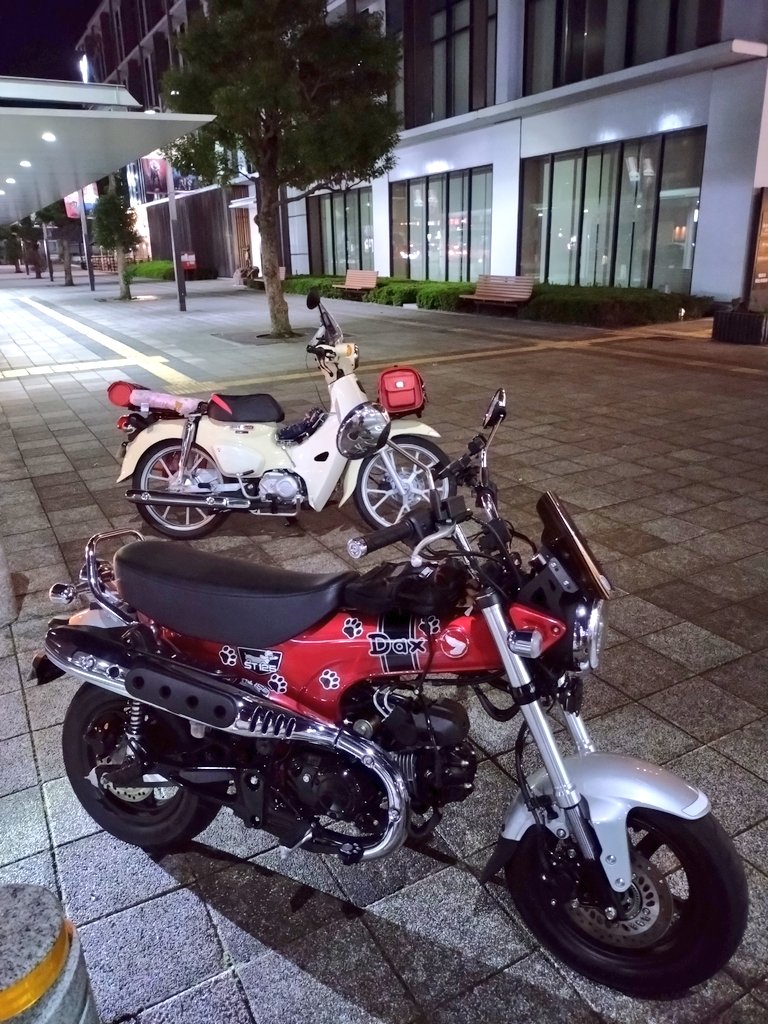 Newじゅんのすけくん🇯🇵 on X