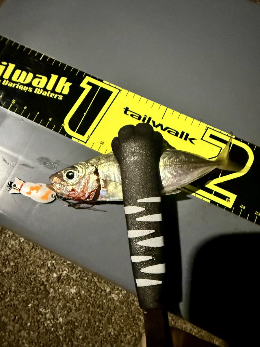 Fukapong@内外出版社 (@fukapong) / Posts / X