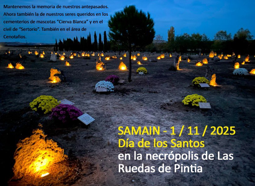 ArchaeoPintia (@archaeopintia) on Twitter photo 