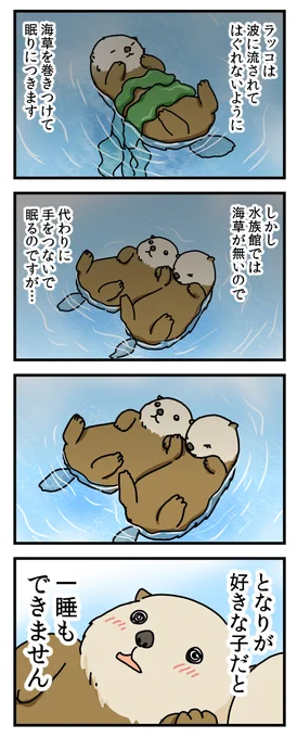 前に描いた4コマ「ラッコの習性」

2コマ目までは本当です。
最後も本当だったらかわいいなぁ。

ちなみに日本にいるラッコはたった2匹で、両方ともメスです。

#4コマ漫画 