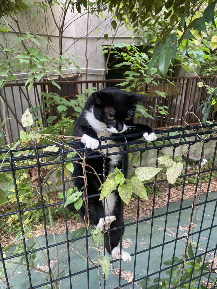 たけぞー (@signe705) / Posts / X