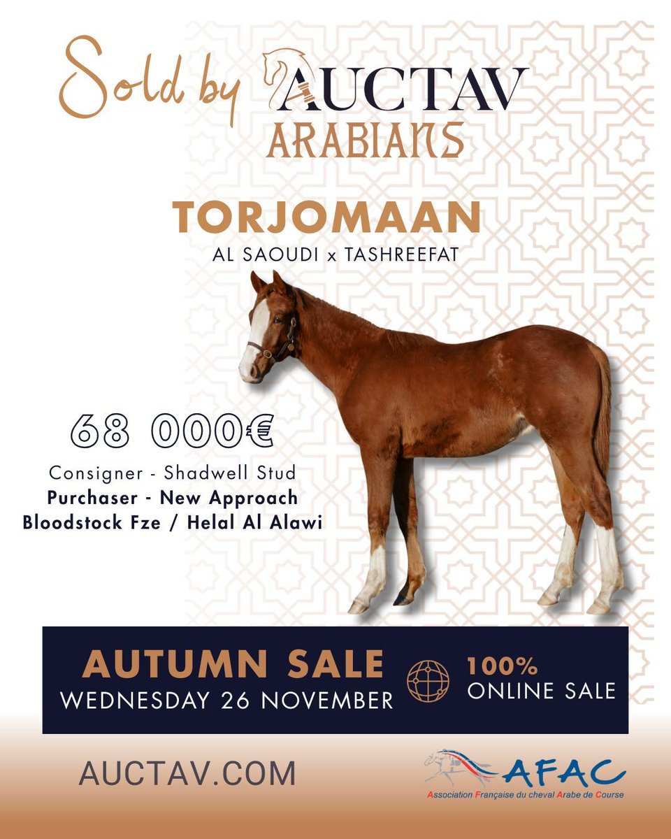 Sold by Auctav ✨

🇬🇧 TORJOMAAN, a son of Al Saoudi, was the second top price at the 2022 Arabian Sale.
Sold for €68,000 to Bloodstock Fze and Helal Alalawi, his elegance and potential impressed all.
🎯 Could your horse be this year’s top price ?