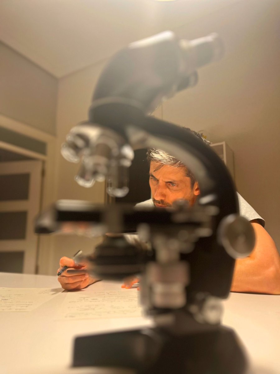 En ciencia, lo esencial suele ocurrir sin ruido. Mientras la opinión pública mira hacia los titulares del día, en los laboratorios se cocinan —a fuego lento— los descubrimientos que cambiarán la medicina, la energía y la forma en que entendemos la vida elespanol.com/enclave-ods/se…