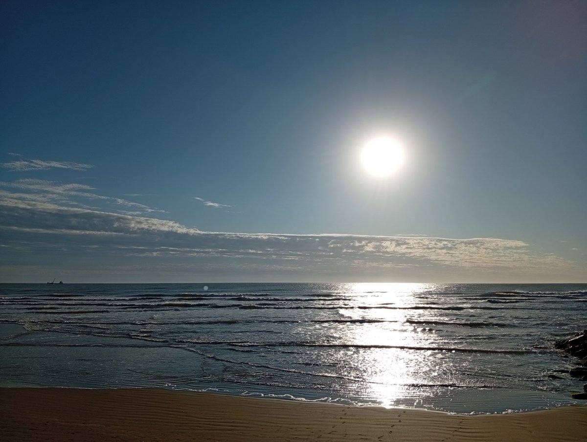 Sábado sabadete camisa limpia y polvete