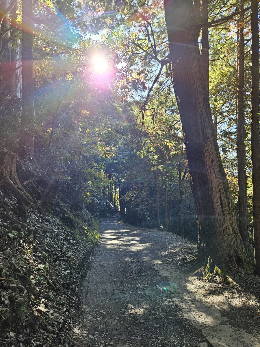 浄化の力

悲しみや苦しみ、怒りなど
負の感情から解放された瞬間
目の前がスーッと明るくなった
今まであんなにもがき苦しんでいたのが嘘のよう

またいつかこの道を歩きたい
でも、熊がコワイよ😫

#三峯神社