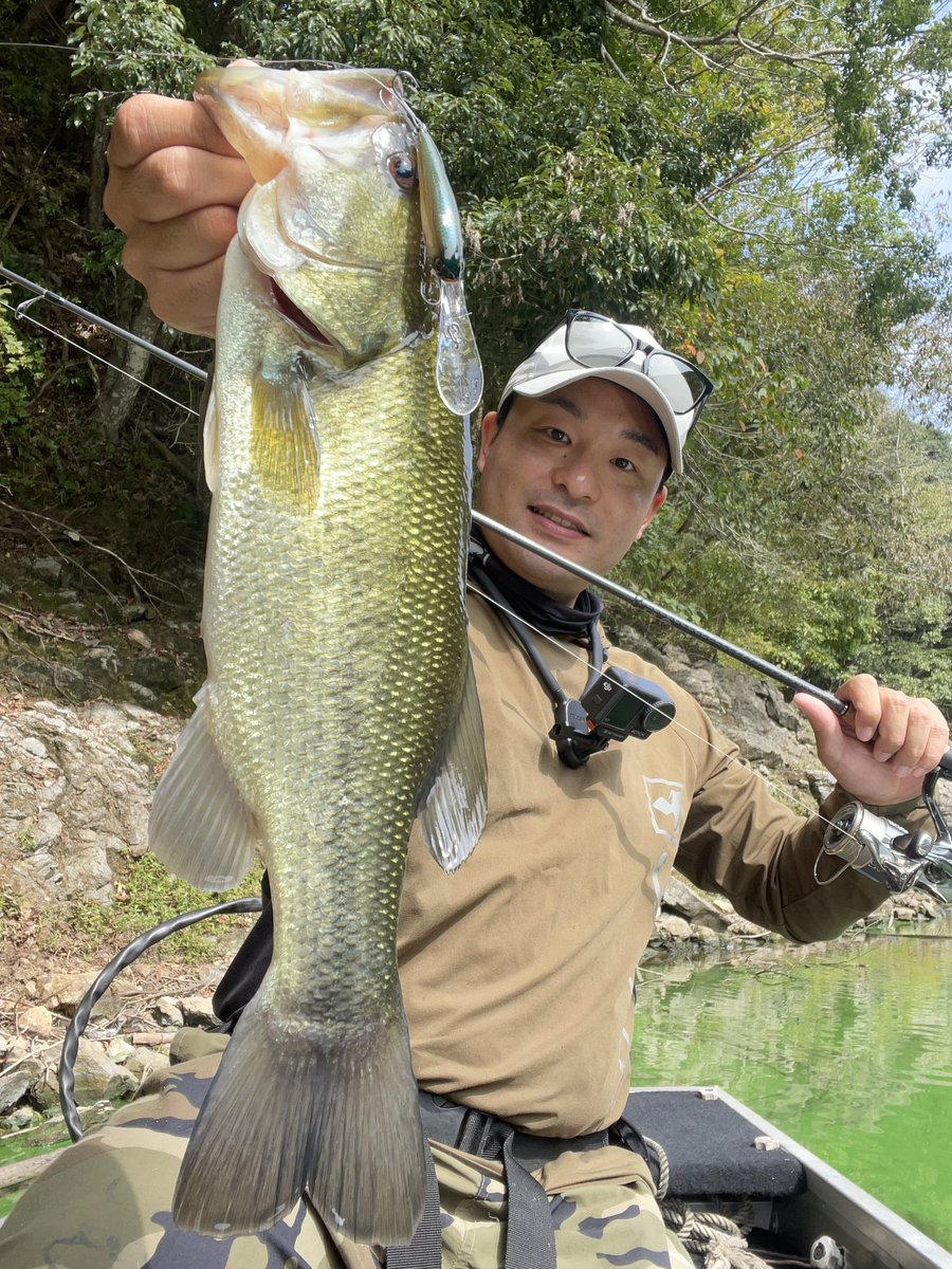 ybassf's tweet photo. 最近の釣果🎣

秋ですねぇ〜!!
プラグがハマる季節ですよー!!

TN60
ソウルシャッド62DDR 
マエコン180SF
スーパードーン

#バス釣り #仕上がってる #PR https://t.co/nKsMo6VVYA