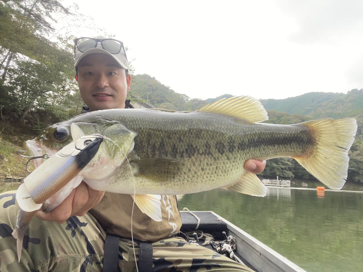 ybassf's tweet photo. 最近の釣果🎣

秋ですねぇ〜!!
プラグがハマる季節ですよー!!

TN60
ソウルシャッド62DDR 
マエコン180SF
スーパードーン

#バス釣り #仕上がってる #PR https://t.co/nKsMo6VVYA