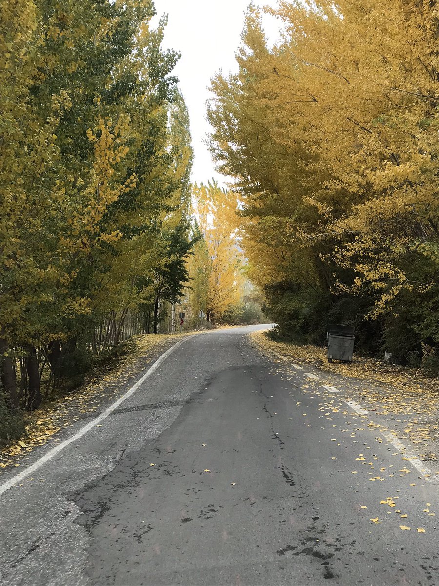 Yine aylardan Kasım