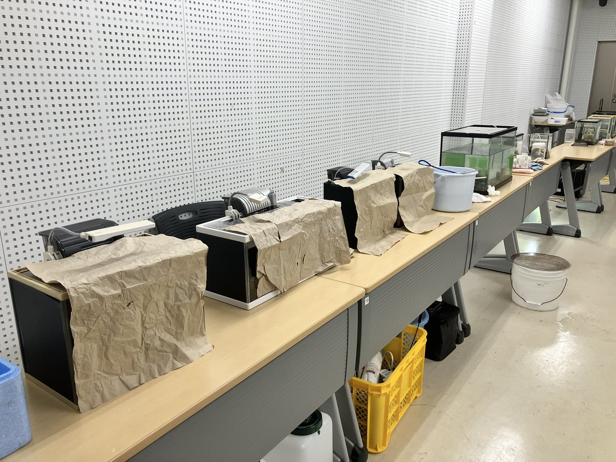 DSKtumsat's tweet photo. 準備中です！
明日から2日半の海鷹祭、よろしくお願いします！ https://t.co/ooX29Ppuag