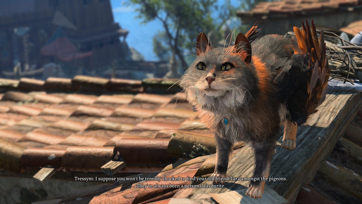 Onyx_Valkyrie's tweet photo. Favourite Baldur’s Gate 3 cat? https://t.co/7ftsjniMV6