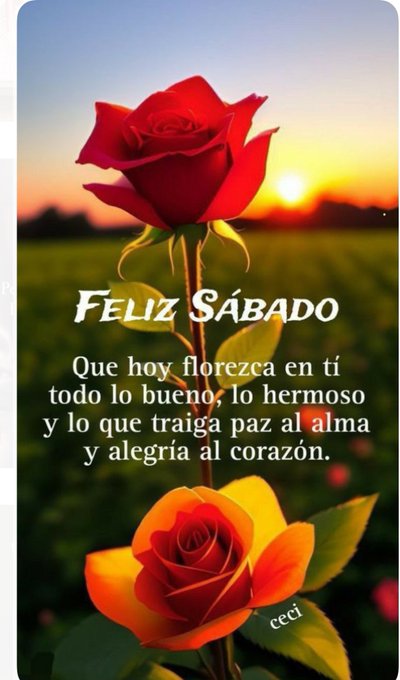 Two roses one red and one orange stand in a green field during sunset with warm orange sky. Overlaid text reads Feliz Sabado at the top and below it Que hoy florezca en ti todo lo bueno lo hermoso y lo que traiga al y alegria al corazon. Additional small text ceci appears near the bottom.