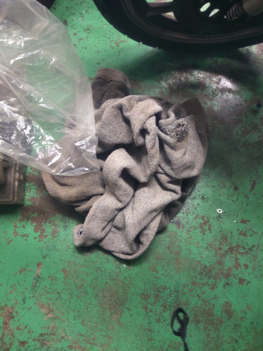 こじまにゃん🐱 on X