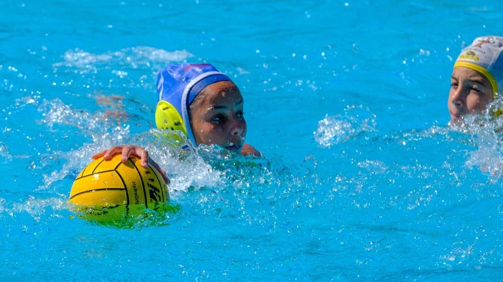 #WP
Tres jugadoras de nuestro club inician hoy en #M86 los entrenos del #GES #infantil <a href="/fmn_oficial/">FMN</a>
🤽‍♀️💛🤽‍♀️💙🤽‍♀️
Adriana, Yerutí y Lucía entrenarán con el objetivo de formar parte de la #selección madrileña en el Camp España por Fed Territoriales
#vaminichiquis
#disfrutad
#trabajad