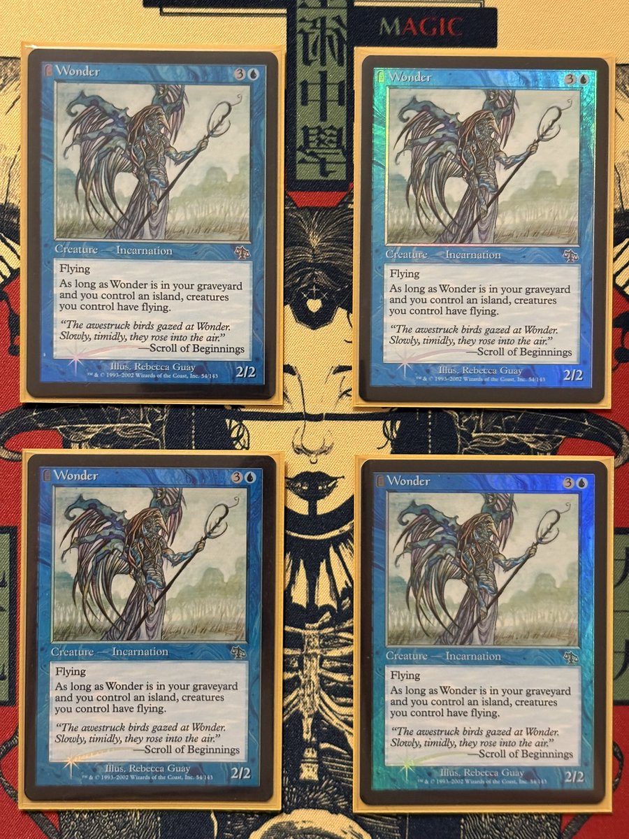 PyromancerTorch's tweet image. 《4枚持っておく必要あるのか...いや、4枚あれば安心だろ_vol.8》
誰よりも高度高く飛べます🪽
#流星愛好家