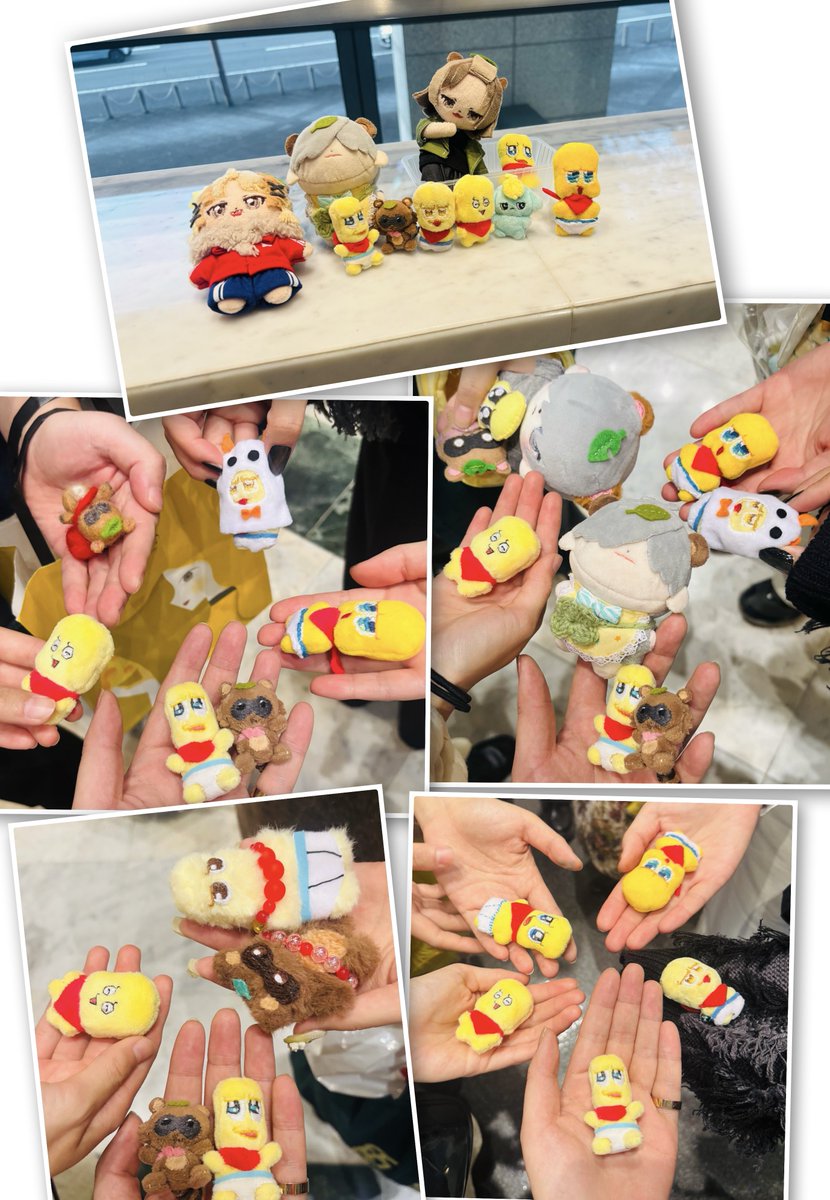 mfgkpp's tweet image. たくさんちいさきいのちの集合写真を撮った　楽しかったです　お会いしてくださった方々感謝感謝