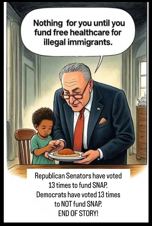 ILA_NewsX's tweet image. This is the real story: Republicans have voted 13 times to fund SNAP, and Democrats have voted 13 times against it. Newsom just makes up stuff.