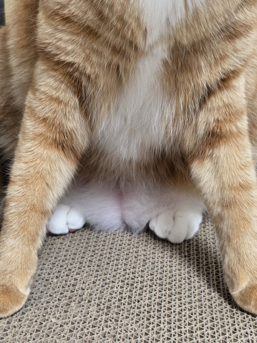 심신이 지칠 땐 고영의 원시주머니를 봅니다...빠져듭니다...쪼물딱