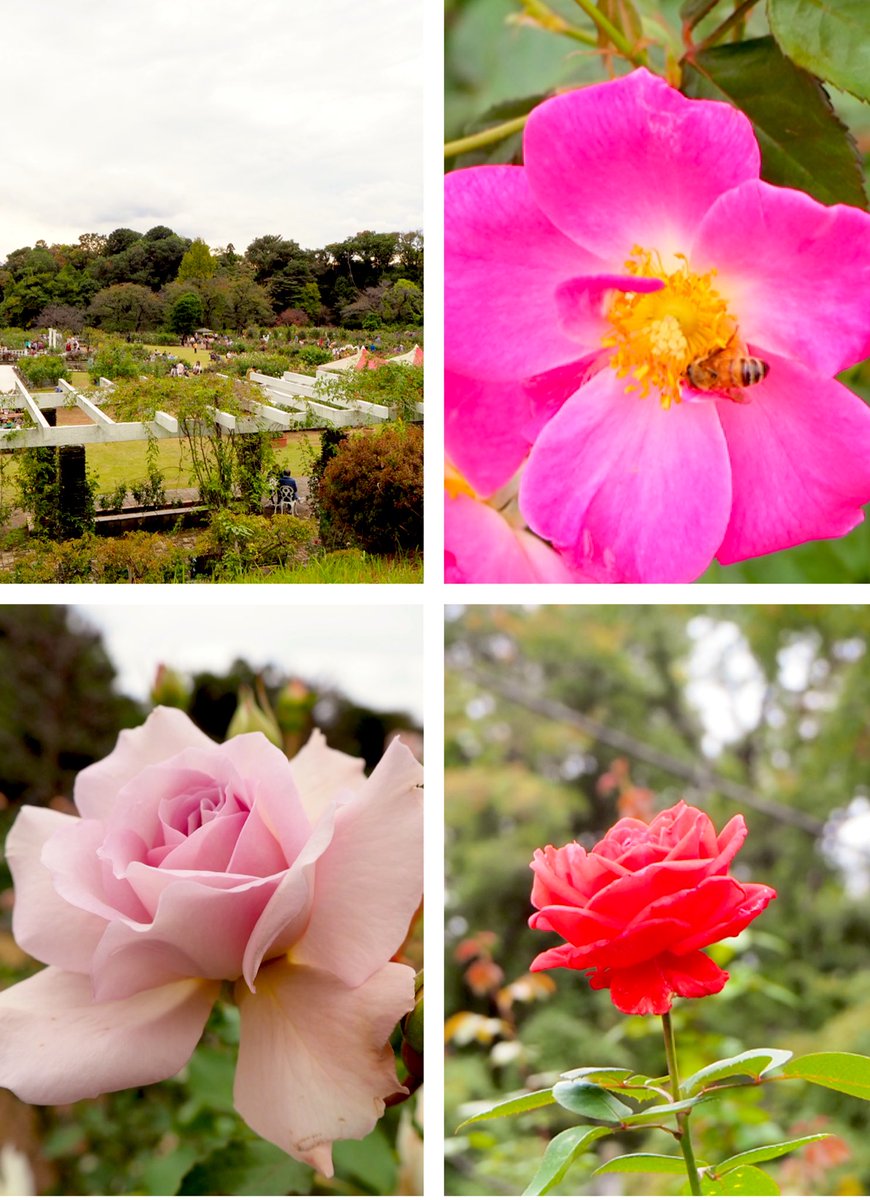 帰ってきてウルトラマン on X