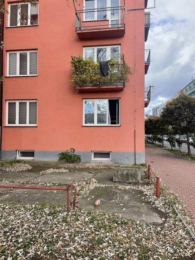 jrjelinek's tweet photo. Někdy mám pocit, že život je jen sled otázek.
- z kterého z těch balkónů to hází?
- proč obden?
- proč zrovna PETky?
- co to je v těch PETkách?
- že to není to, jako co to vypadá?
- stačí nechat ruku, kterou jsem to zvednul, pár hodin v desinfekci?
#same_ocasky #pardubice https://t.co/XZg4exxVTm
