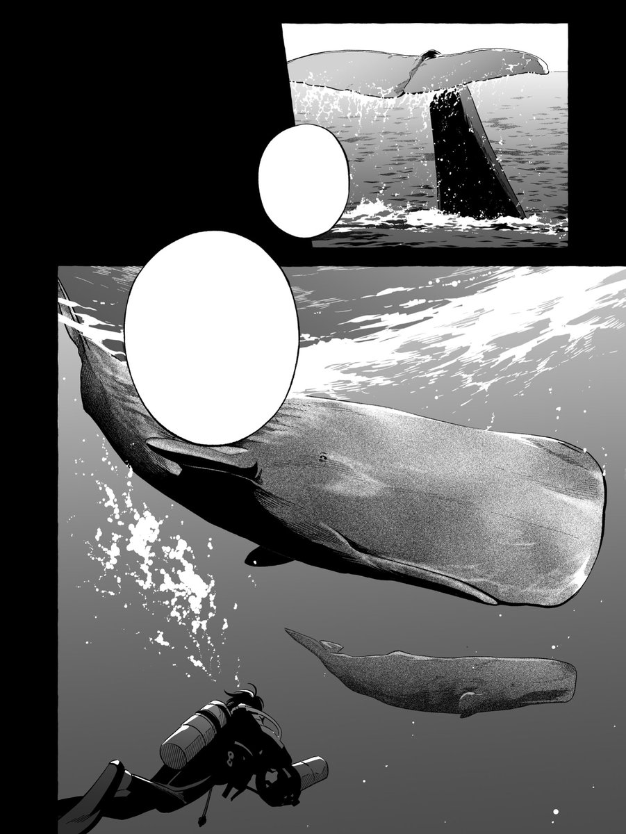 ︎︎椙下聖海︎︎ (@Key_dsam) / Posts / X