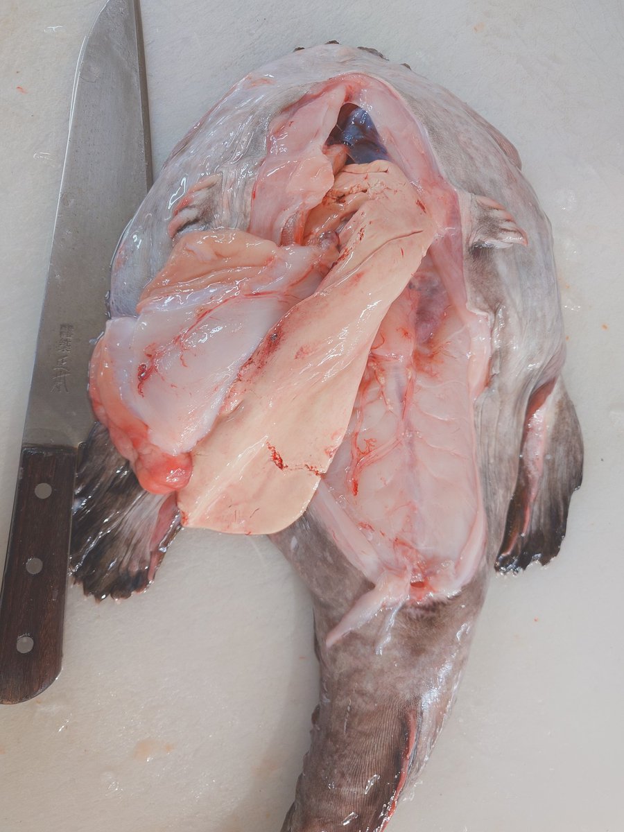 ハルページ LEDヘッドライトバルブ T19 P15D-25-1 12V7/6W 6000k バイク