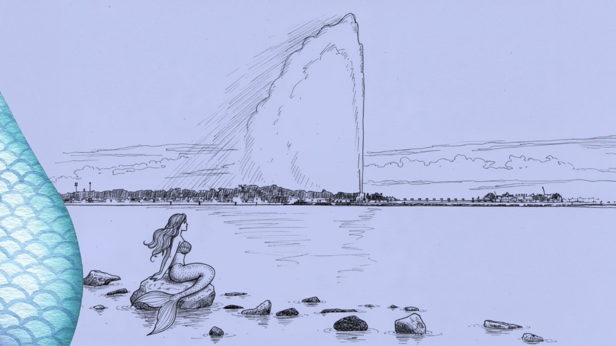 البوبح tweet media