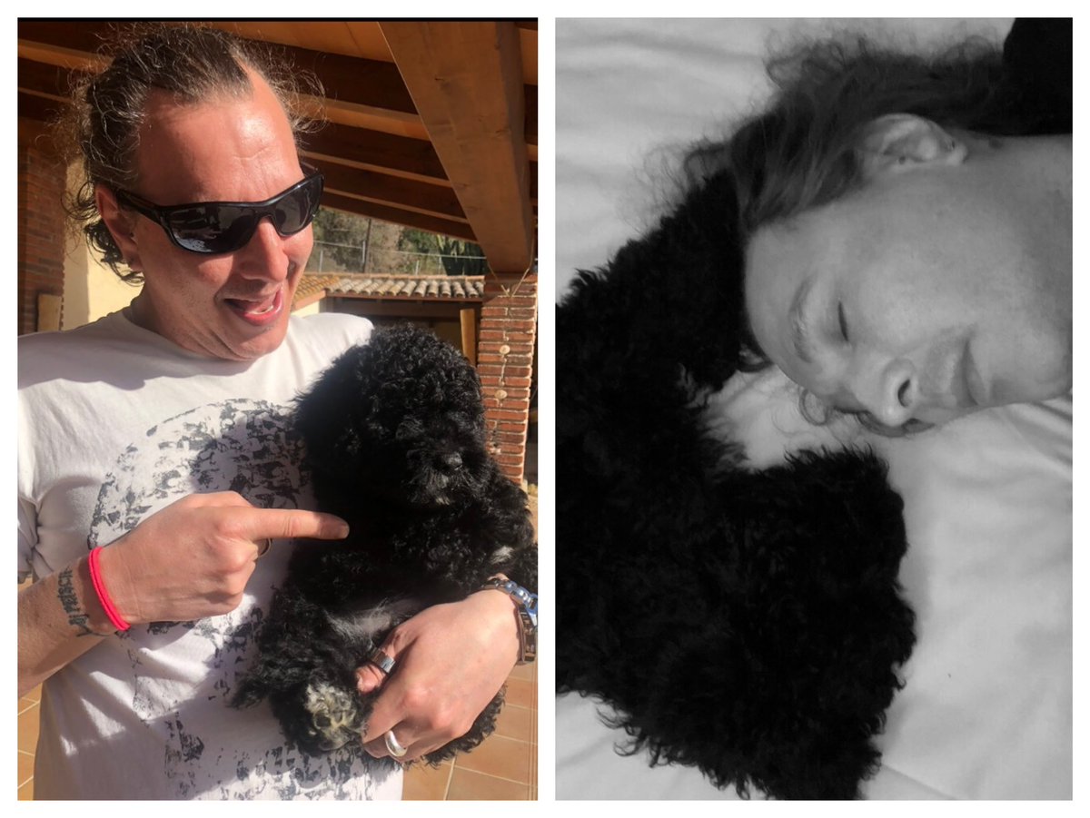 Justo hoy y a esta hora , hace 2 añitos que fui a recogerte y conocerte..
Gracias por ser como eres y cambiarme la vida!
🖤🐶🤍🥰
#Wyo
#AmorIncondicional