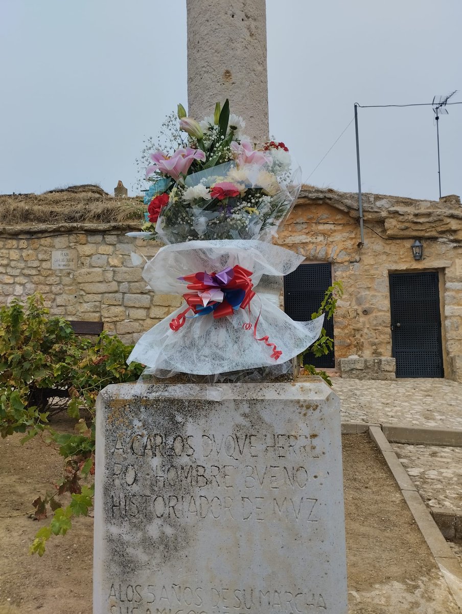 bodega.aulamuzvino tweet media