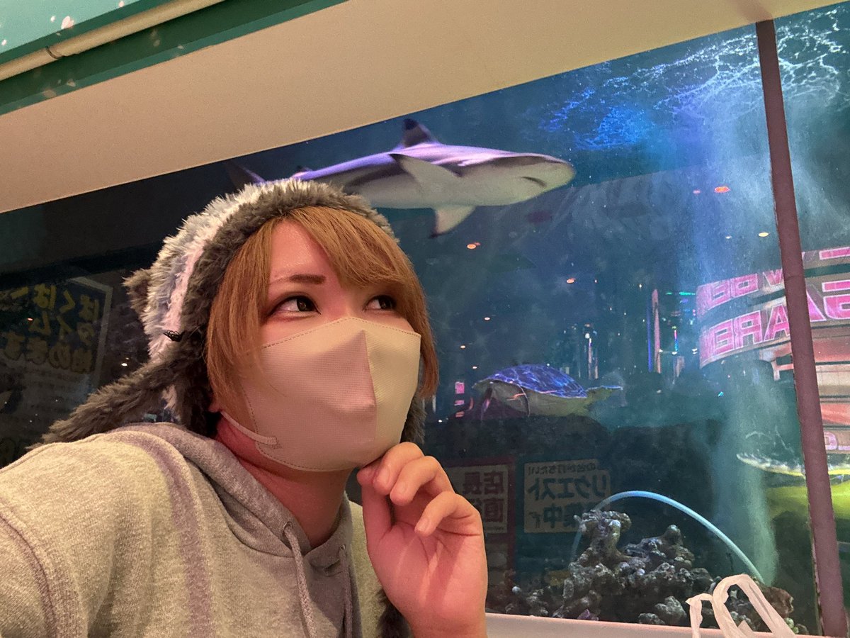 ぶーちゃん🐷📷 (@boochan_kmrmn) / Posts / X