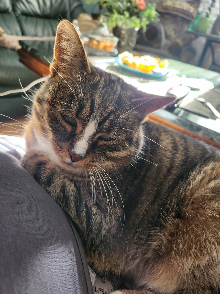 Jestesmy zmęczone.😍